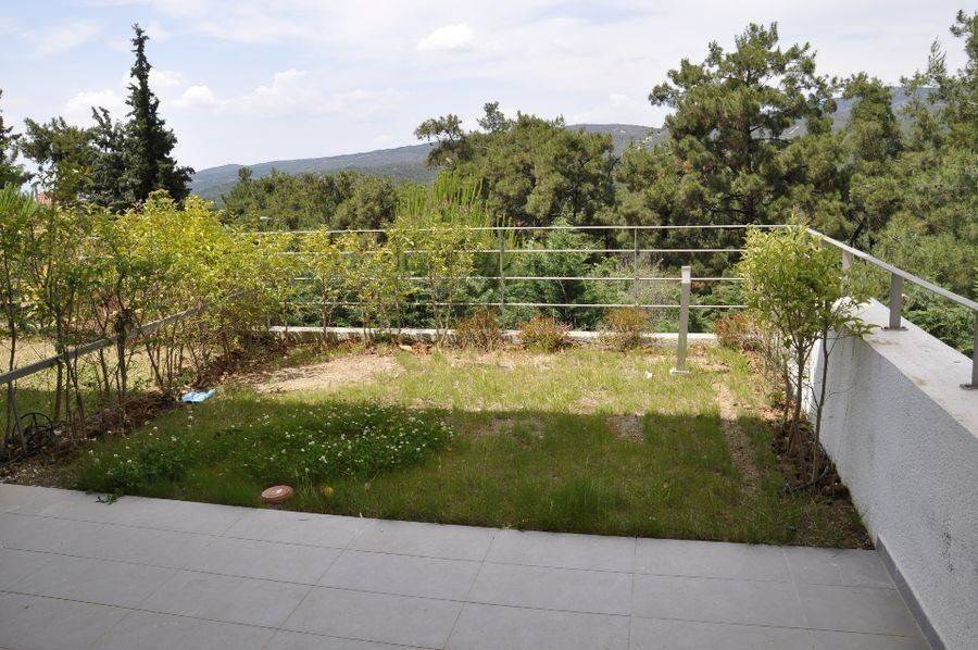 Forumland Real Estate, Κήπος