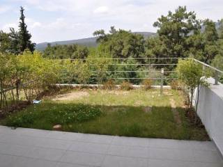 Forumland Real Estate, Κήπος