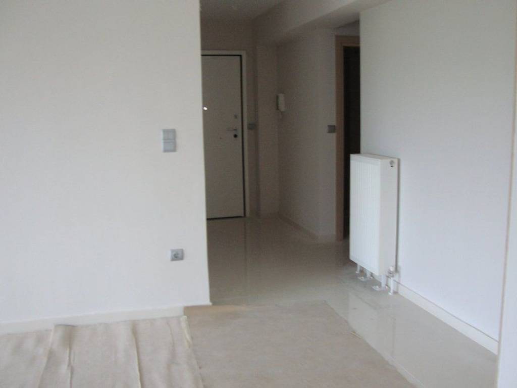 Forumland Real Estate, Σαλοκουζίνα