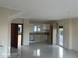 Forumland Real Estate, Κουζίνα