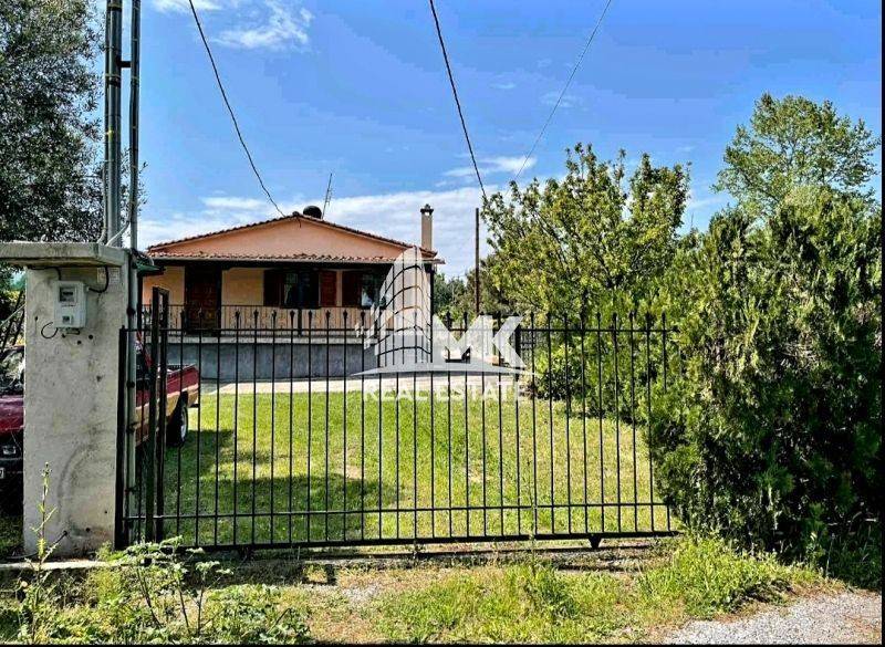 Εξωτερικός χώρος