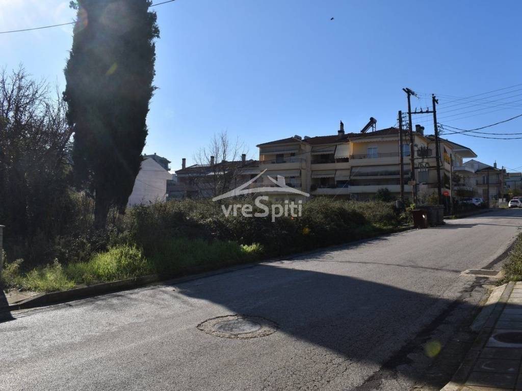 ΑΠΟΨΗ ΟΙΚΟΠΕΔΟΥ