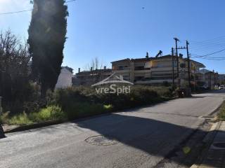 ΑΠΟΨΗ ΟΙΚΟΠΕΔΟΥ