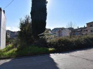 ΑΠΟΨΗ ΟΙΚΟΠΕΔΟΥ