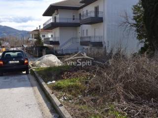 ΑΠΟΨΗ ΟΙΚΟΠΕΔΟΥ