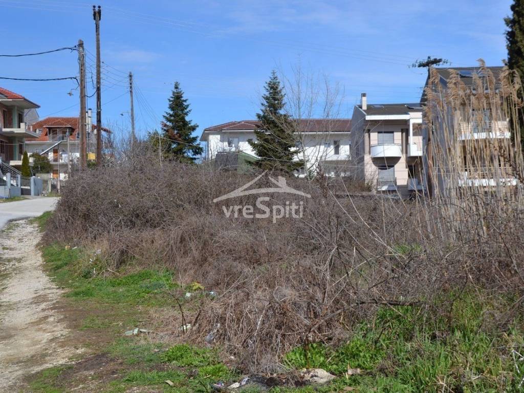 ΑΠΟΨΗ ΟΙΚΟΠΕΔΟΥ