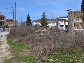 ΑΠΟΨΗ ΟΙΚΟΠΕΔΟΥ