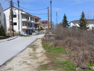 ΑΠΟΨΗ ΟΙΚΟΠΕΔΟΥ