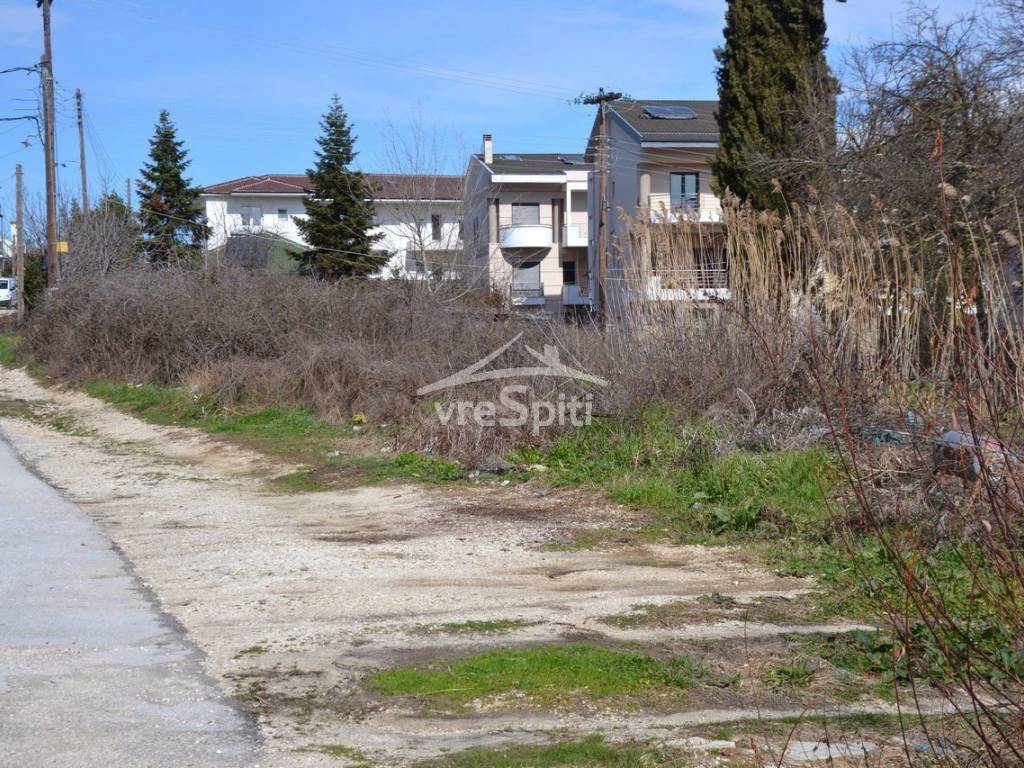 ΑΠΟΨΗ ΟΙΚΟΠΕΔΟΥ