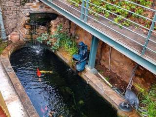 Ύπαρξη ανθρώπου