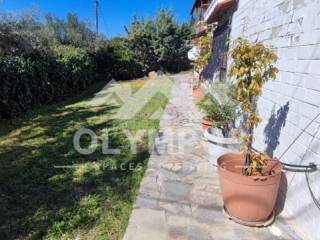 Ύπαρξη ανθρώπου