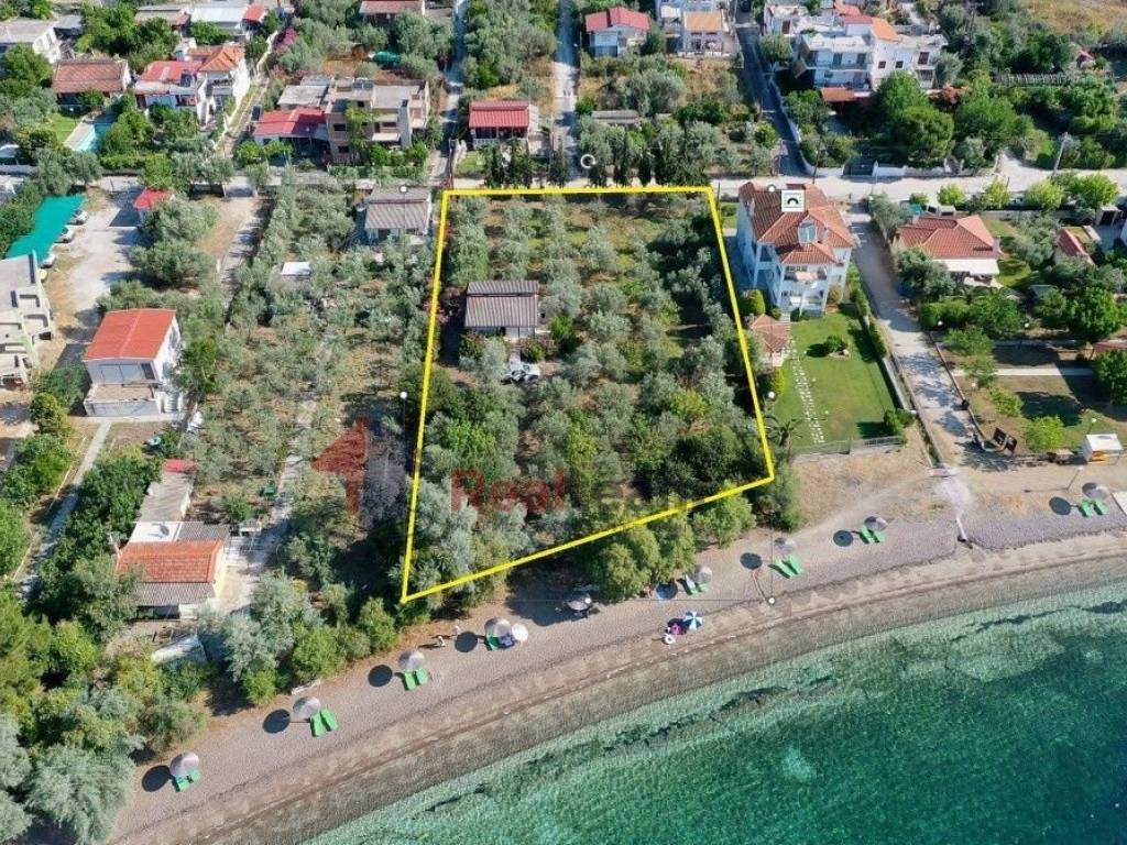 Εξωτερικοι χώροι