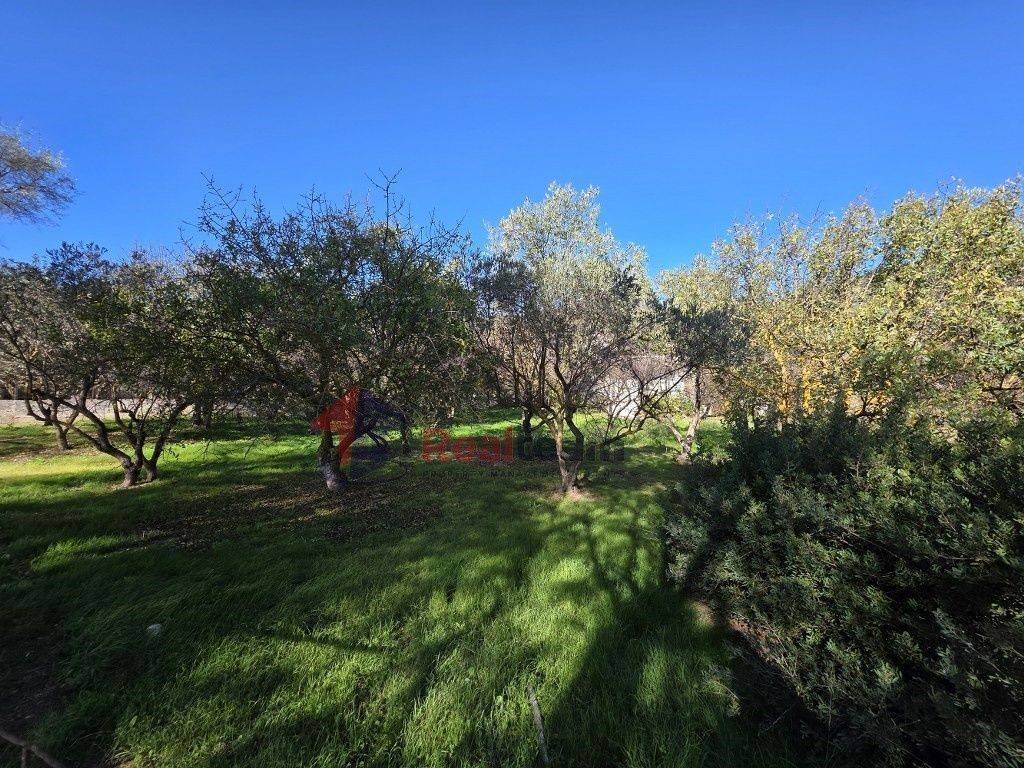 Εξωτερικοι χώροι