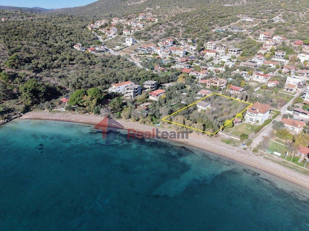 Εξωτερικοι χώροι