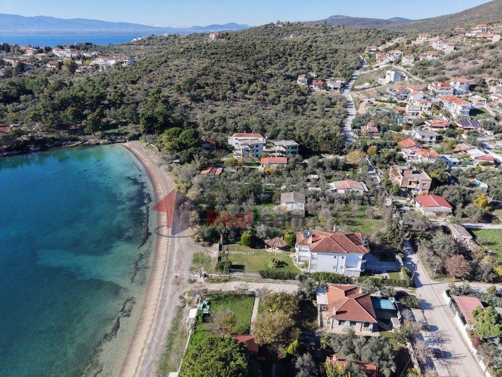 Εξωτερικοι χώροι