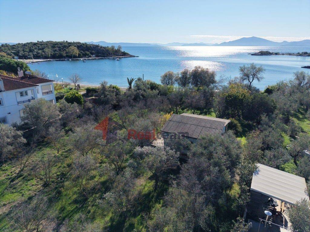 Εξωτερικοι χώροι