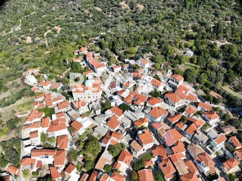 Ύπαρξη ανθρώπου