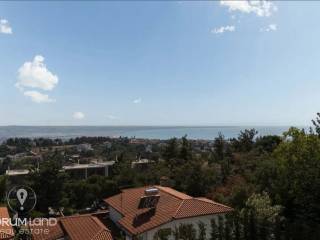 Forumland Real Estate, THea anoichtosia