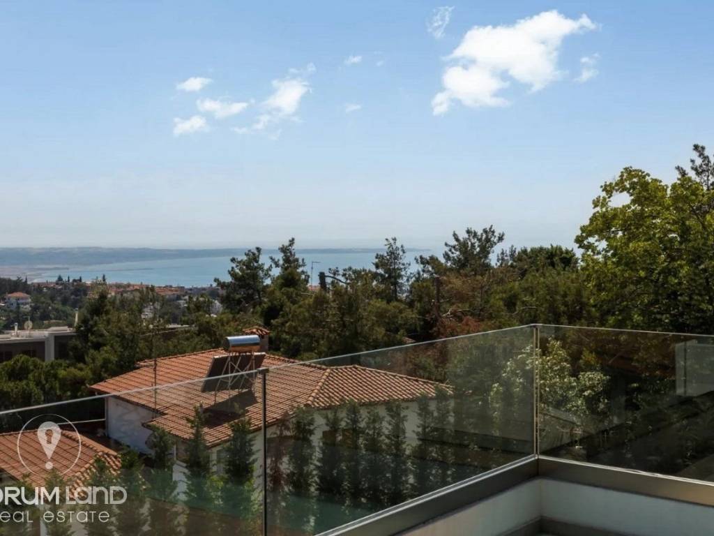 Forumland Real Estate, THea anoichtosia