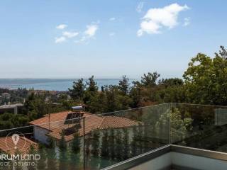 Forumland Real Estate, THea anoichtosia