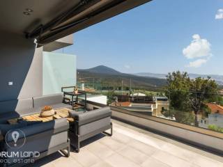 Forumland Real Estate, THea anoichtosia