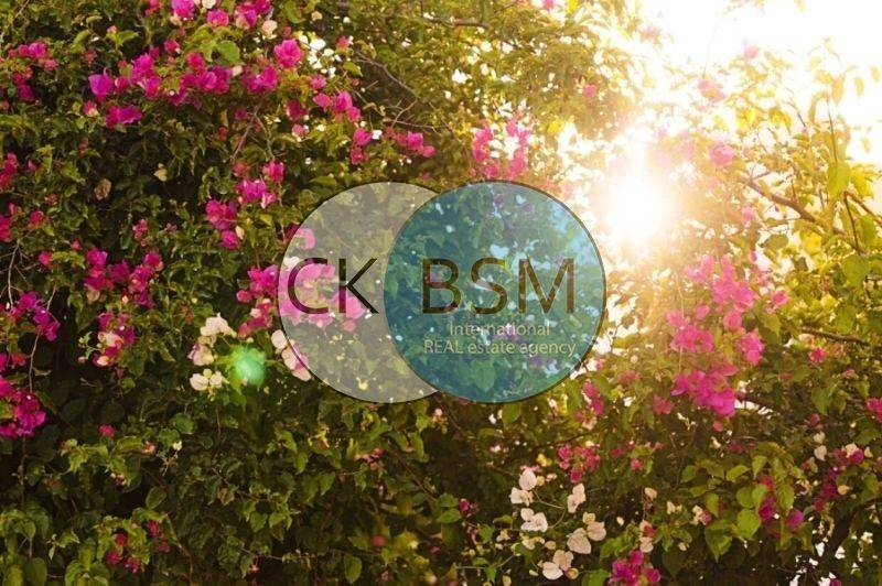 Διακοσμητικές λεπτομέρειες / Decorative details