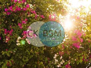 Διακοσμητικές λεπτομέρειες / Decorative details