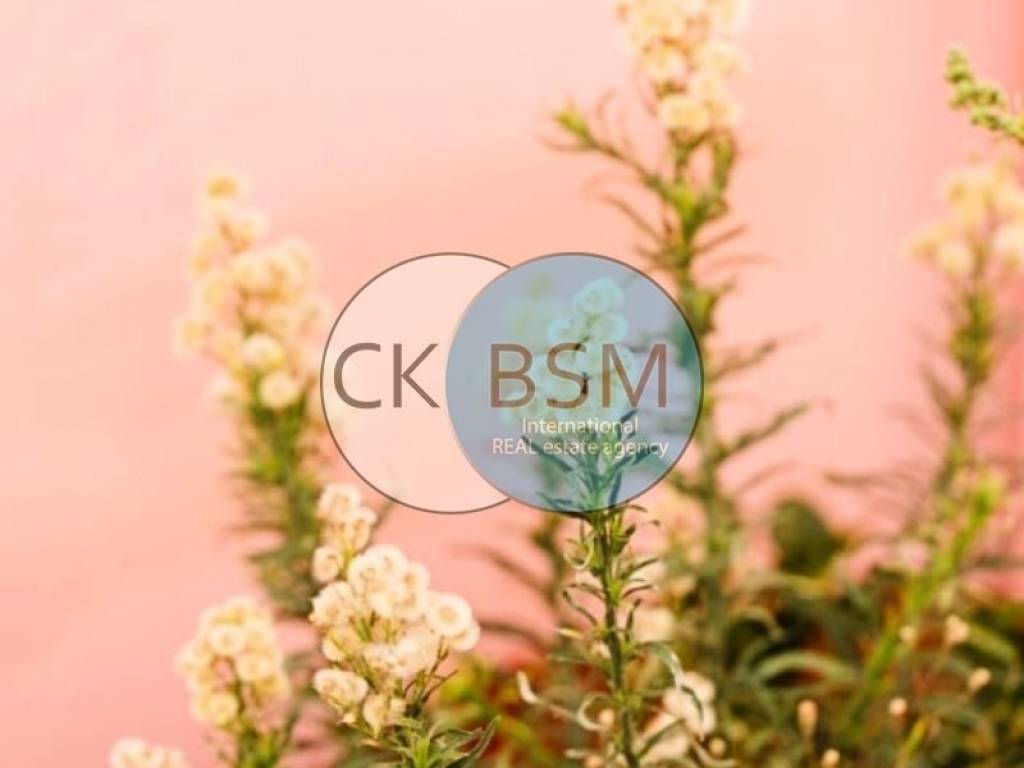 Διακοσμητικές λεπτομέρειες / Decorative details