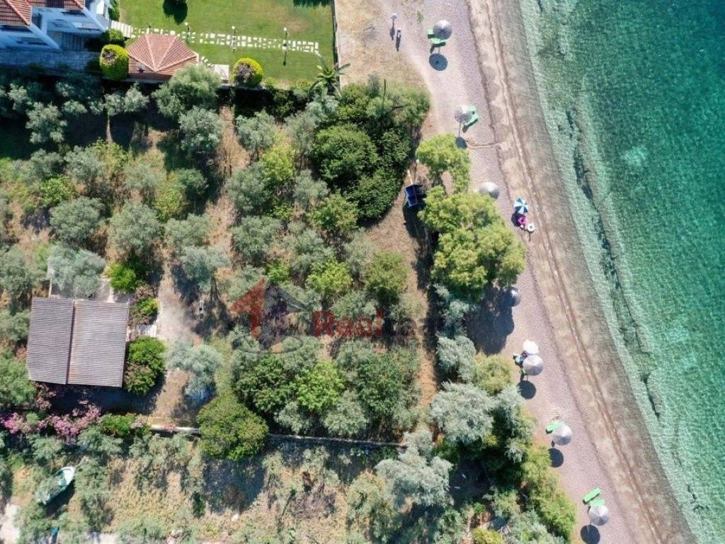 Εξωτερικοι χώροι