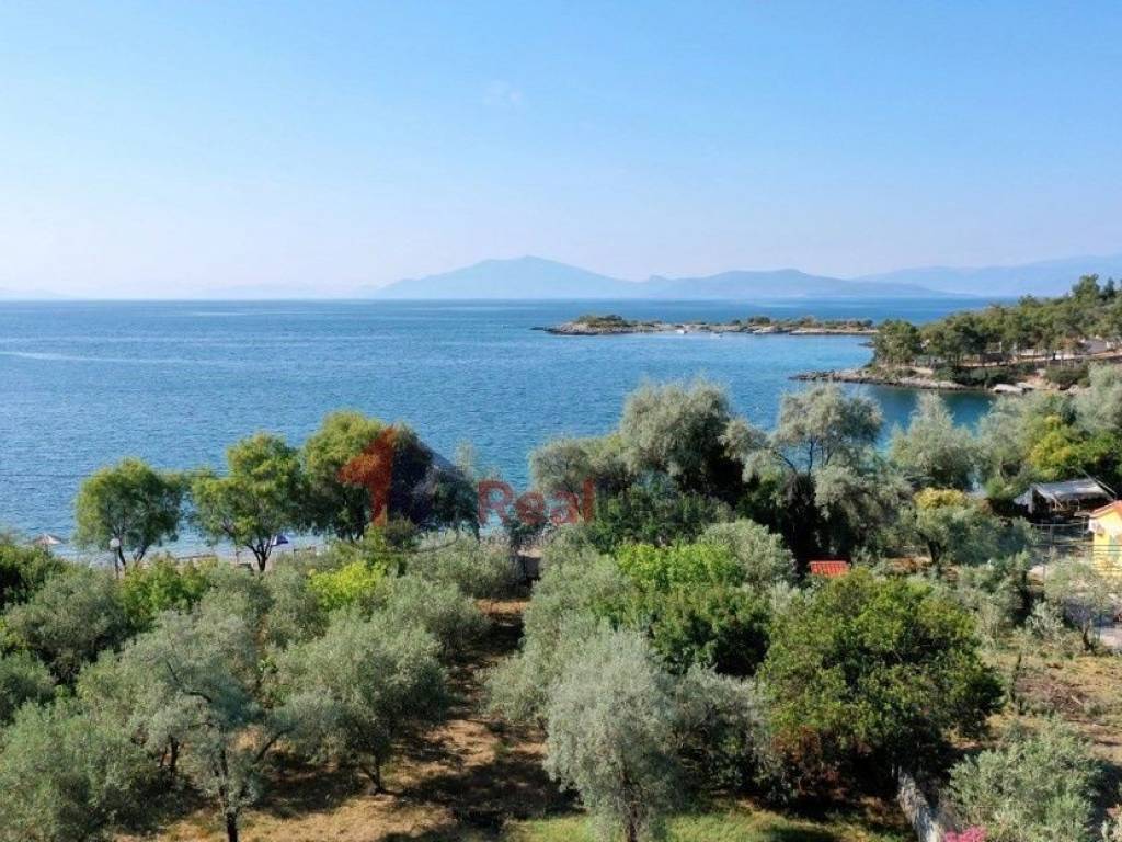 Εξωτερικοι χώροι