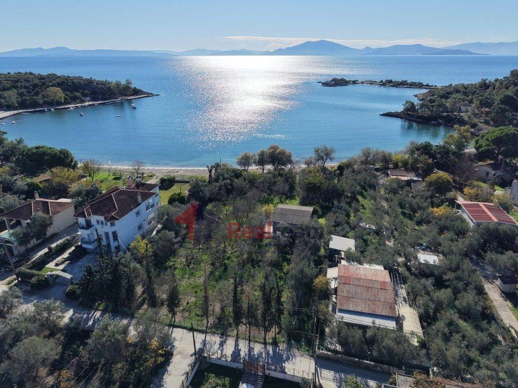 Εξωτερικοι χώροι