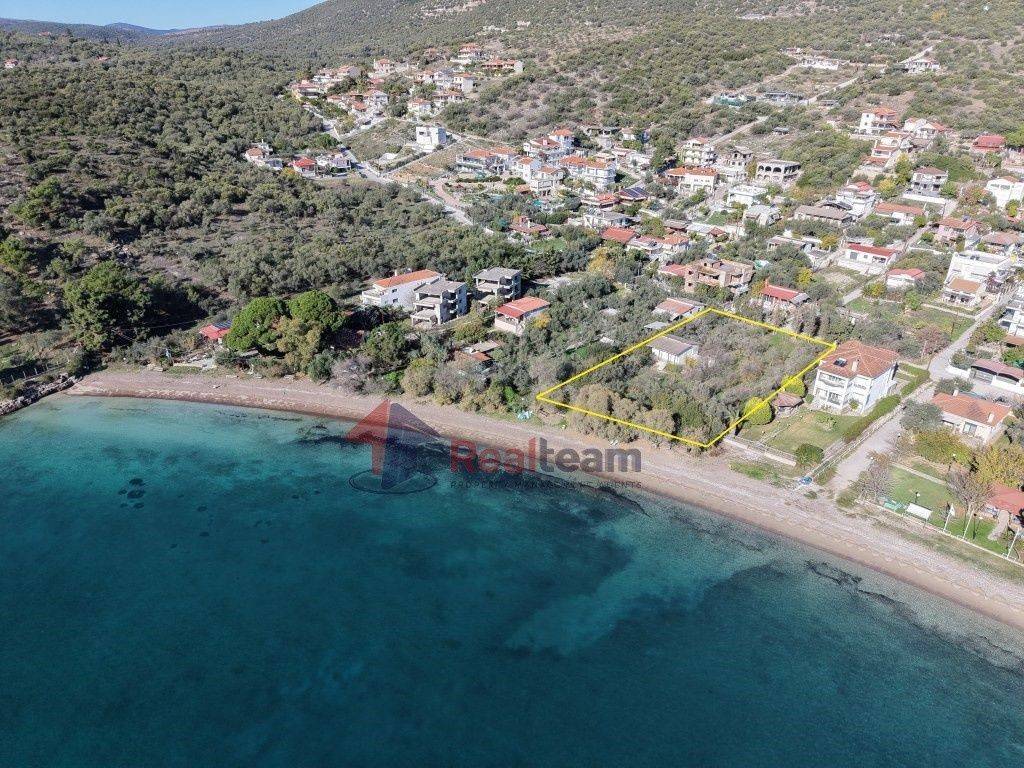 Εξωτερικοι χώροι