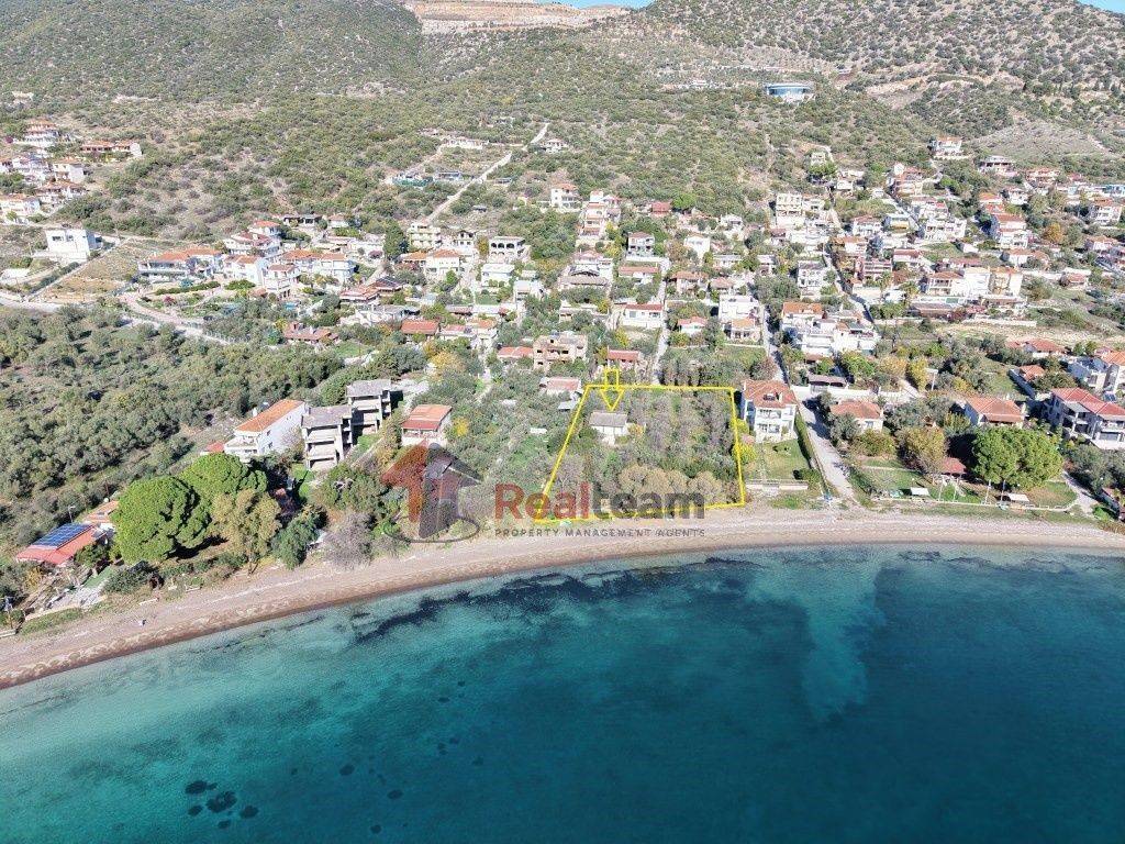 Εξωτερικοι χώροι