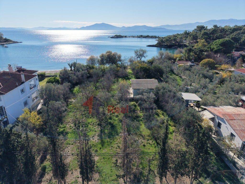 Εξωτερικοι χώροι