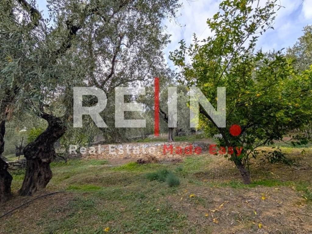 Ύπαρξη ανθρώπου