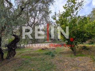 Ύπαρξη ανθρώπου