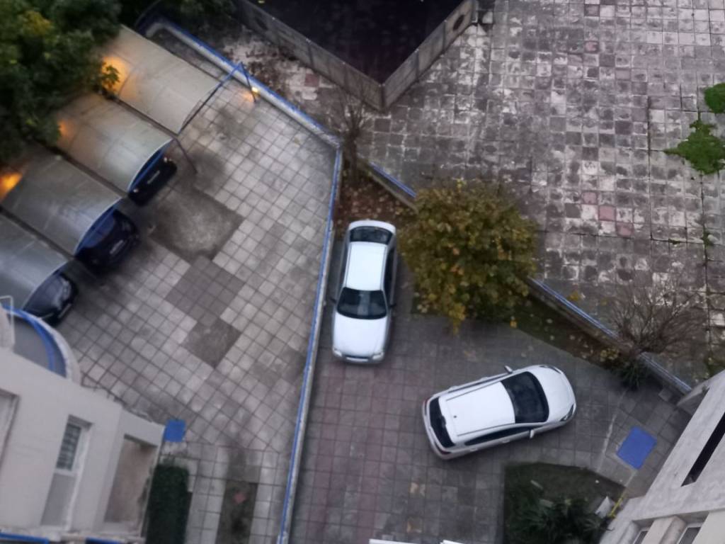 THESE PARKIN , E GONIA