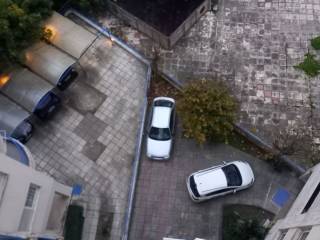 THESE PARKIN , E GONIA