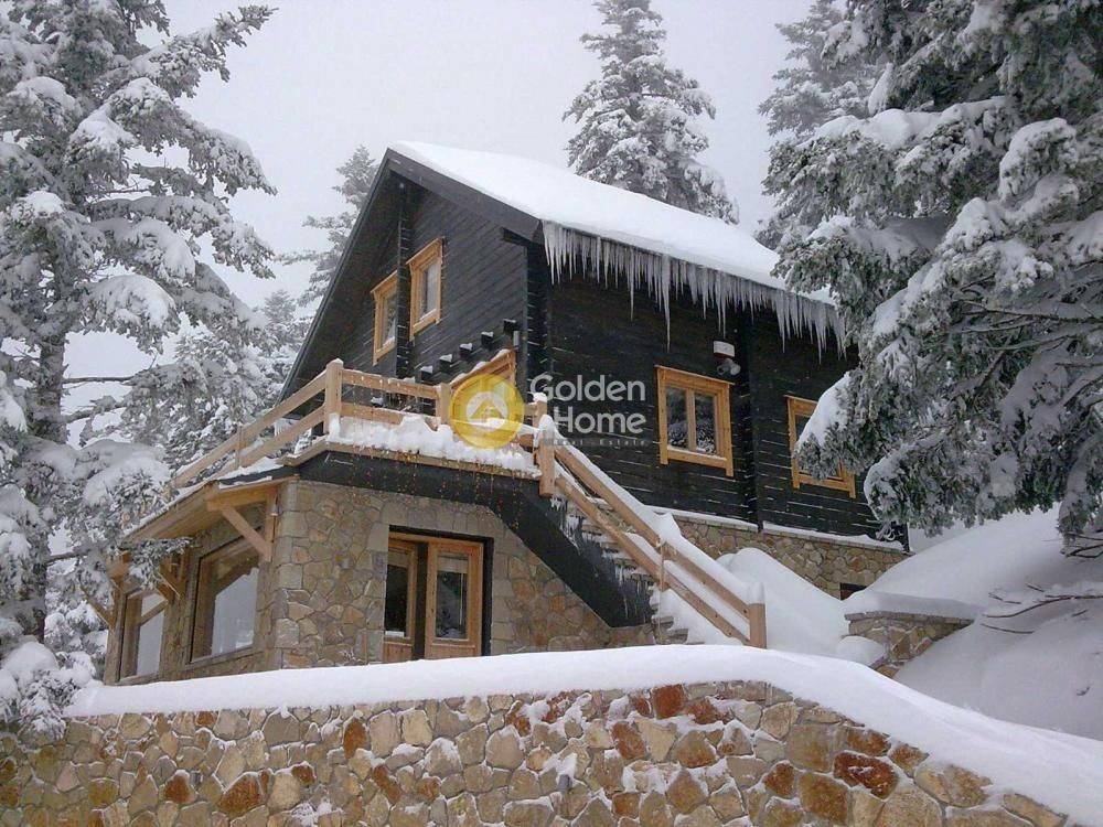 Ανελκυστήρας