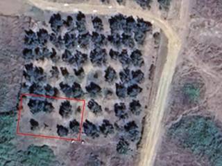 Plot - Grekodom 64860|1029814