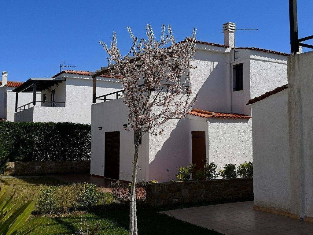 Detached - Grekodom 30729|468897