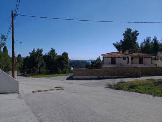 Detached - Grekodom 30729|468900