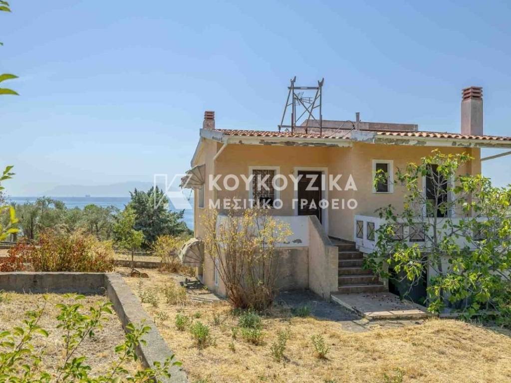 Εξωτερικός χώρος