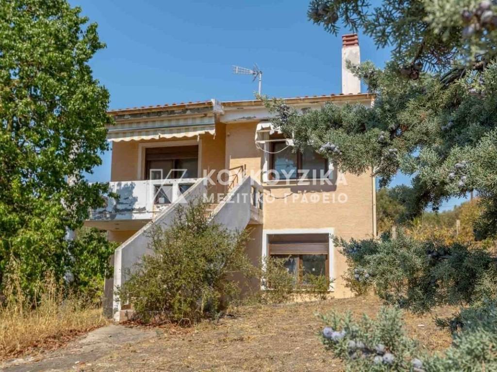 Εξωτερικός χώρος