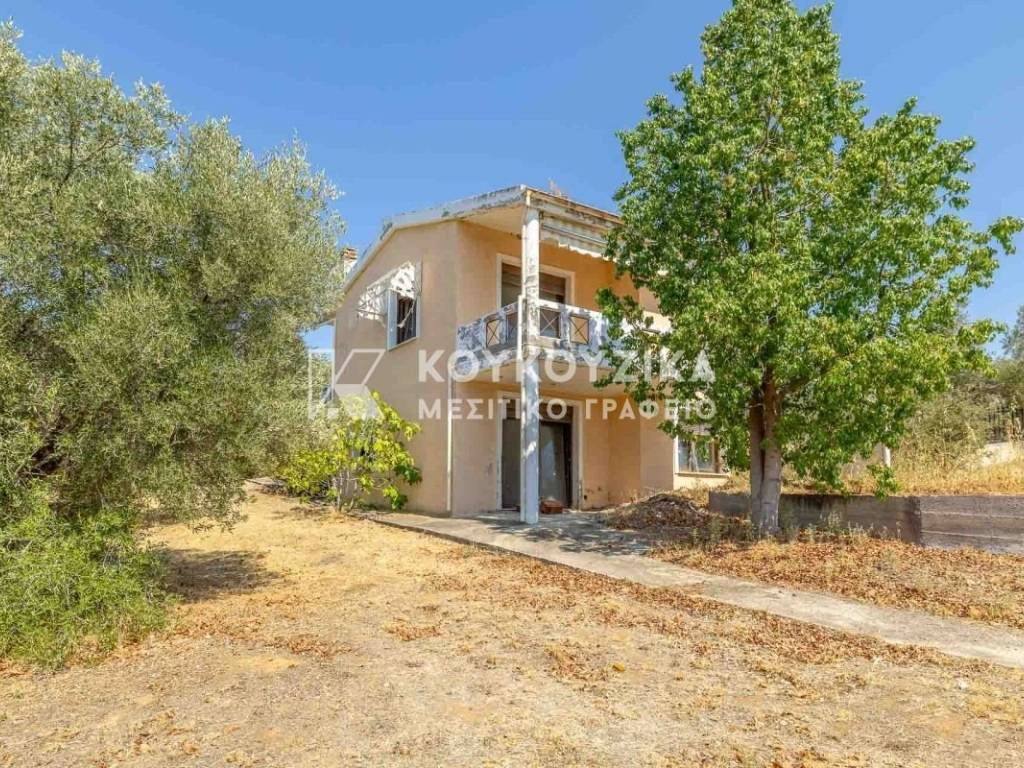 Εξωτερικός χώρος