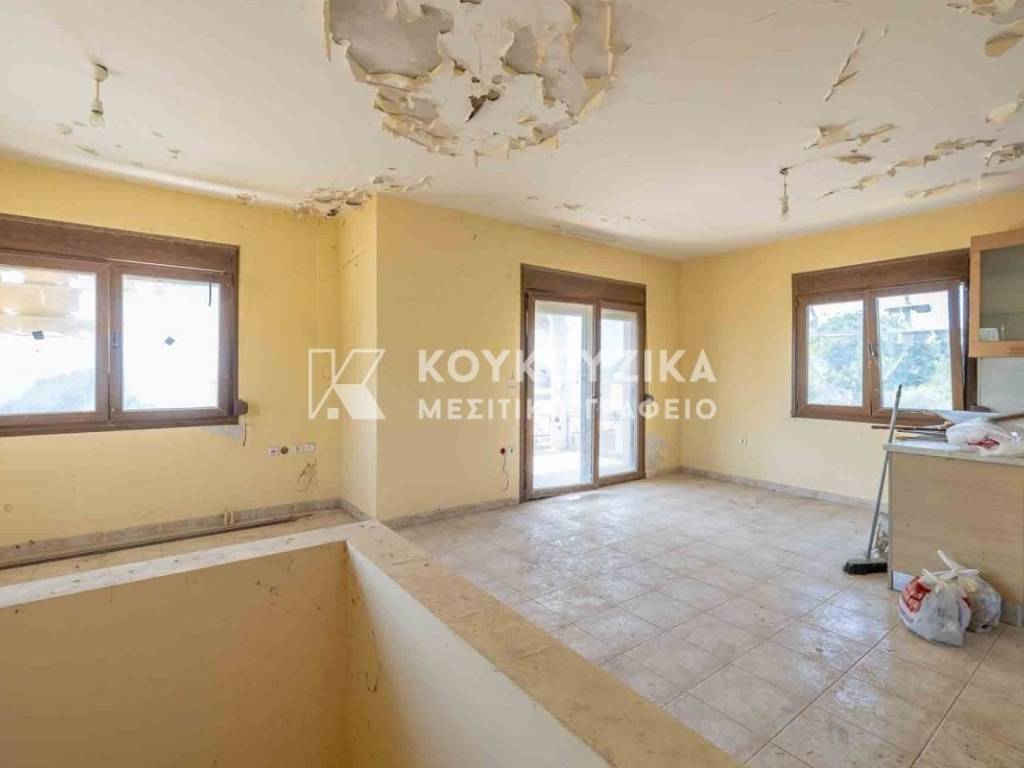 Σαλοκουζίνα