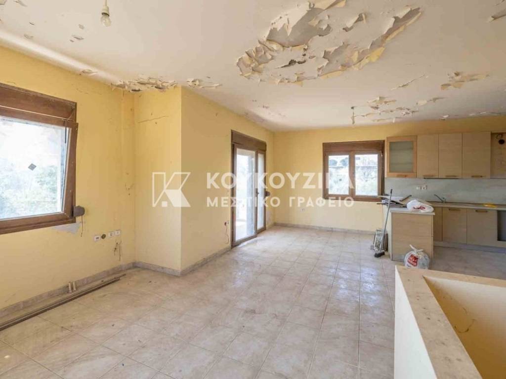 Σαλοκουζίνα