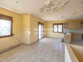 Σαλοκουζίνα