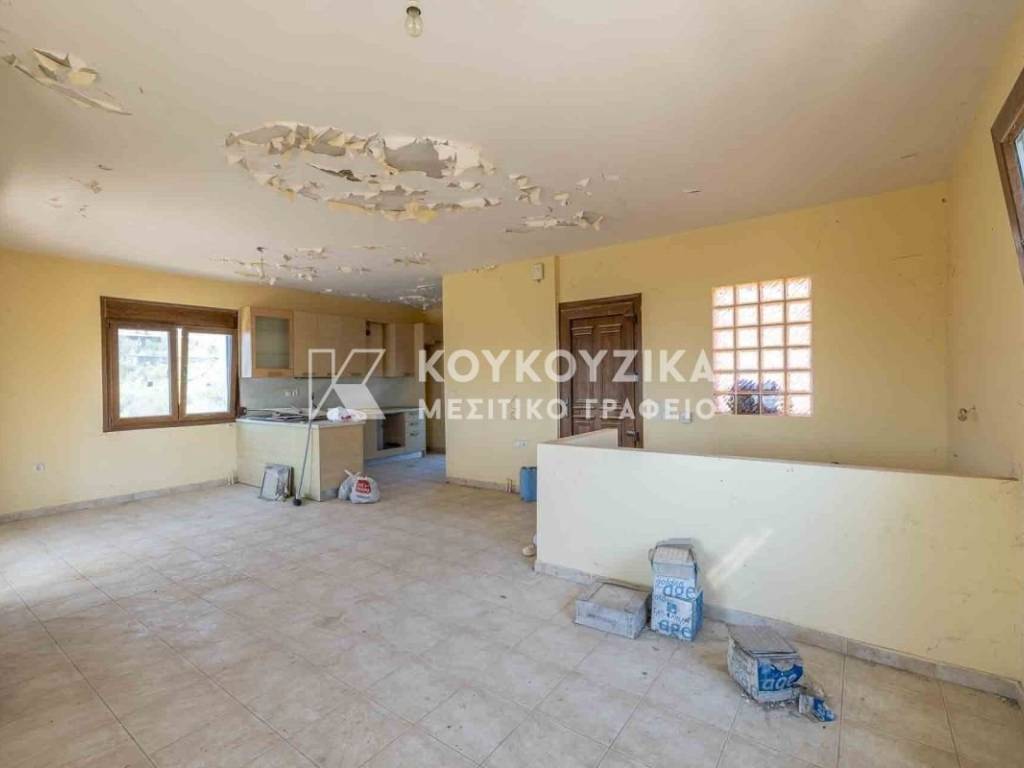 Σαλοκουζίνα