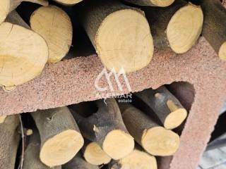 Ύπαρξη ανθρώπου